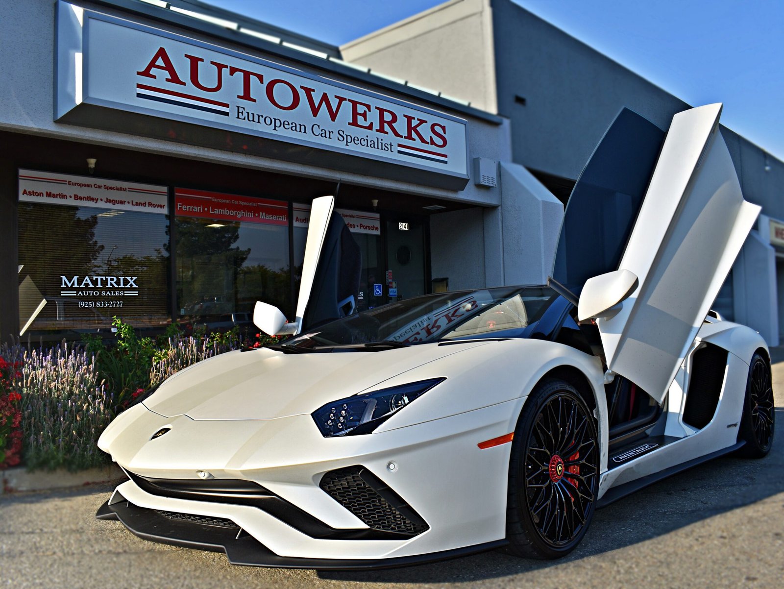 Paul Chahal - Autowerks European owner